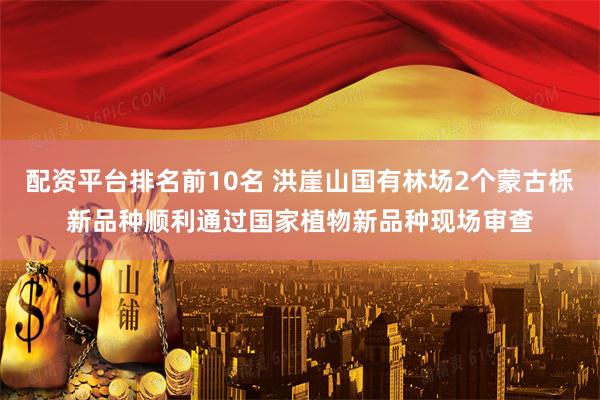 配资平台排名前10名 洪崖山国有林场2个蒙古栎新品种顺利通过国家植物新品种现场审查