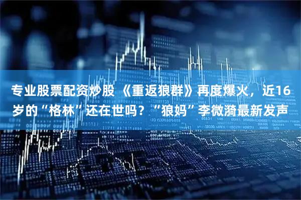 专业股票配资炒股 《重返狼群》再度爆火，近16岁的“格林”还在世吗？“狼妈”李微漪最新发声
