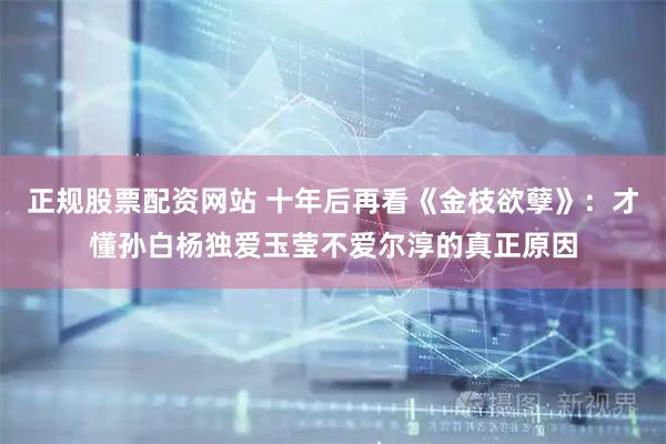 正规股票配资网站 十年后再看《金枝欲孽》：才懂孙白杨独爱玉莹不爱尔淳的真正原因