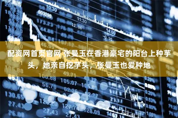 配资网首页官网 张曼玉在香港豪宅的阳台上种芋头，她亲自挖芋头，张曼玉也爱种地