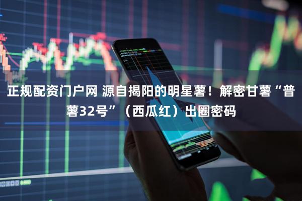 正规配资门户网 源自揭阳的明星薯！解密甘薯“普薯32号”（西瓜红）出圈密码