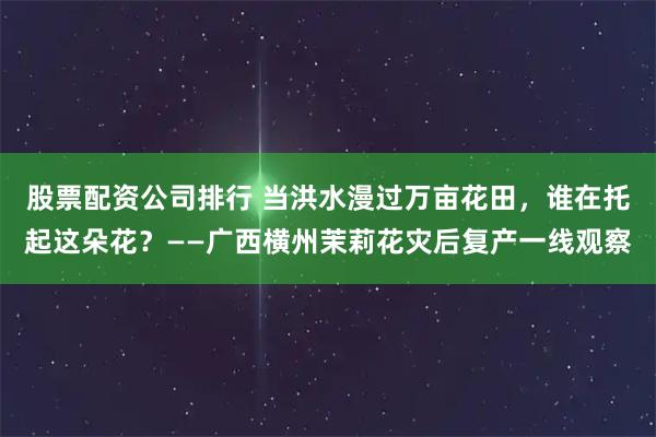 股票配资公司排行 当洪水漫过万亩花田，谁在托起这朵花？——广西横州茉莉花灾后复产一线观察