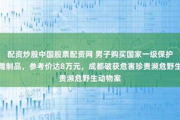 配资炒股中国股票配资网 男子购买国家一级保护动物金雕制品，参考价达8万元，成都破获危害珍贵濒危野生动物案